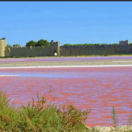 Mas De Constance Aigues-Mortes